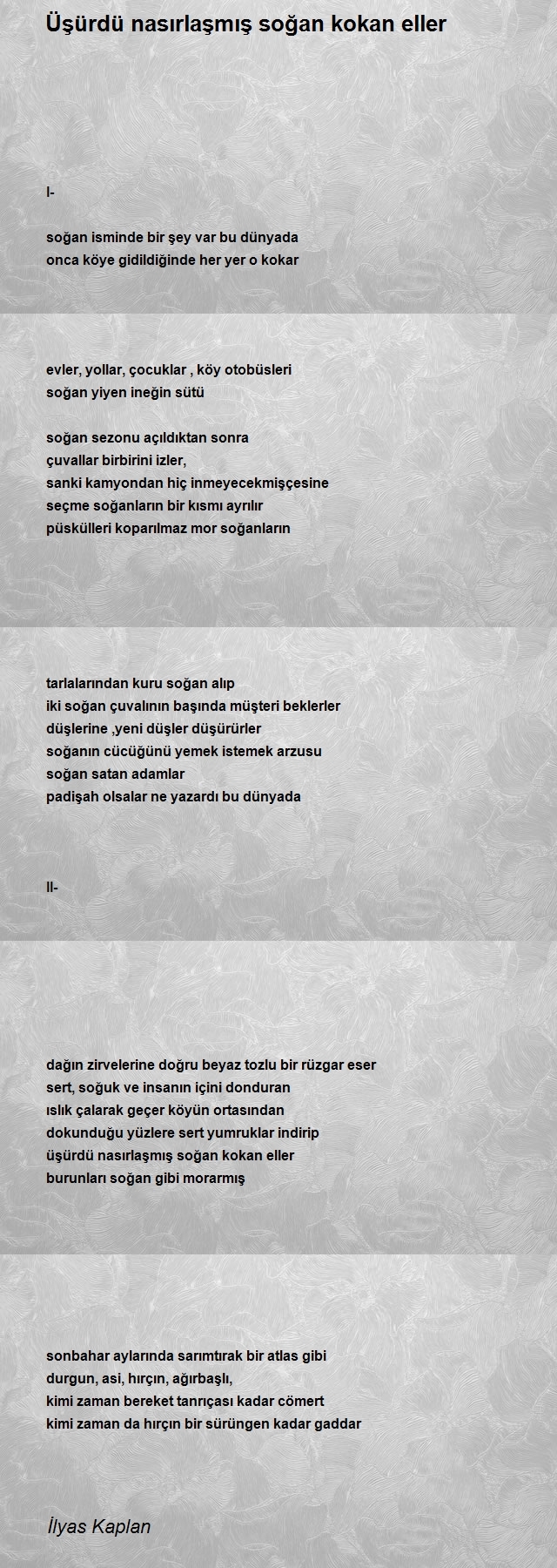 İlyas Kaplan