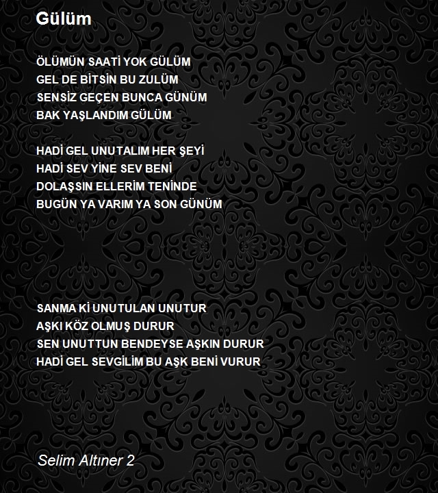 Selim Altıner 2