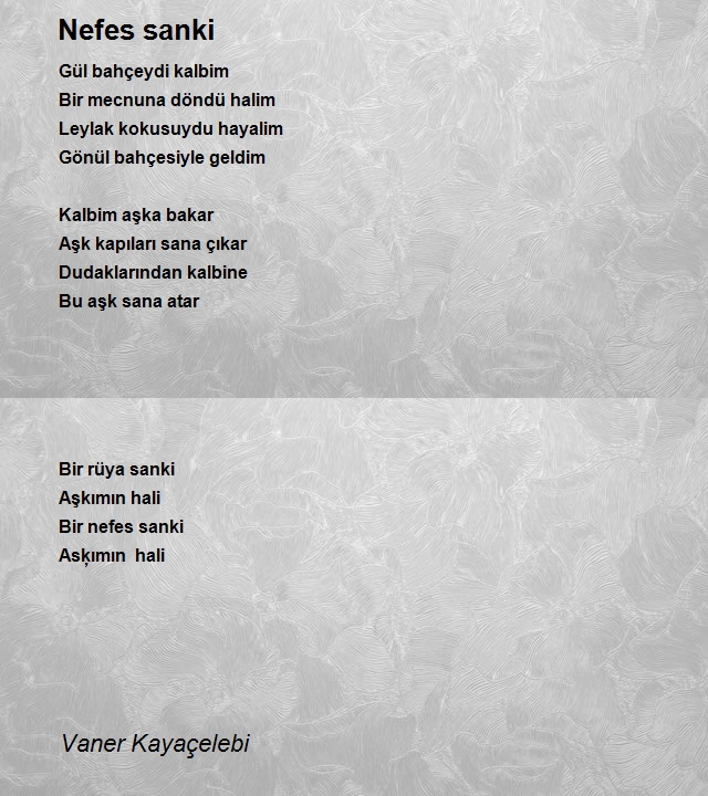 Vaner Kayaçelebi