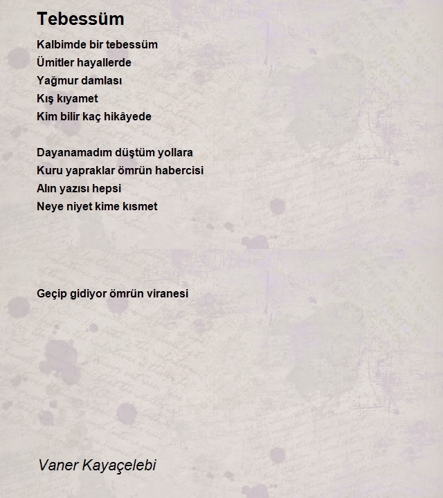 Vaner Kayaçelebi