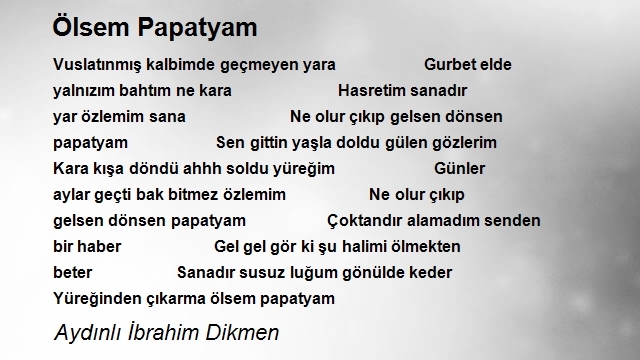 İbrahim Dikmen 2