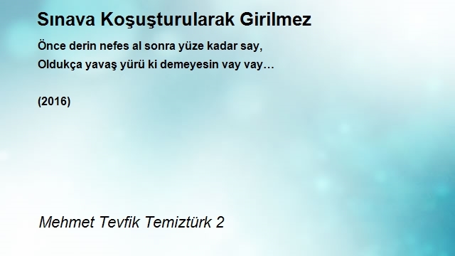 Mehmet Tevfik Temiztürk 2