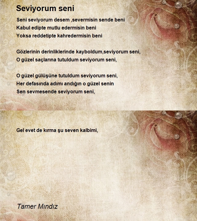 Tamer Mındız