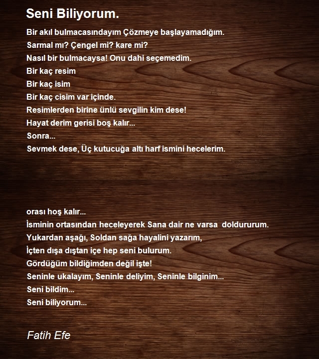 Fatih Efe