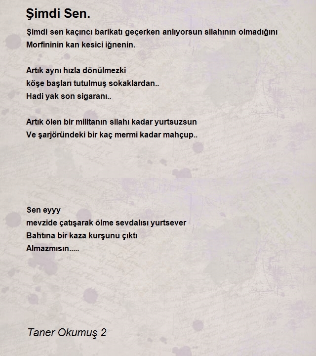 Taner Okumuş 2