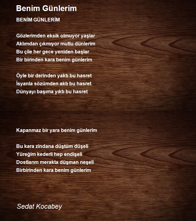 Sedat Kocabey