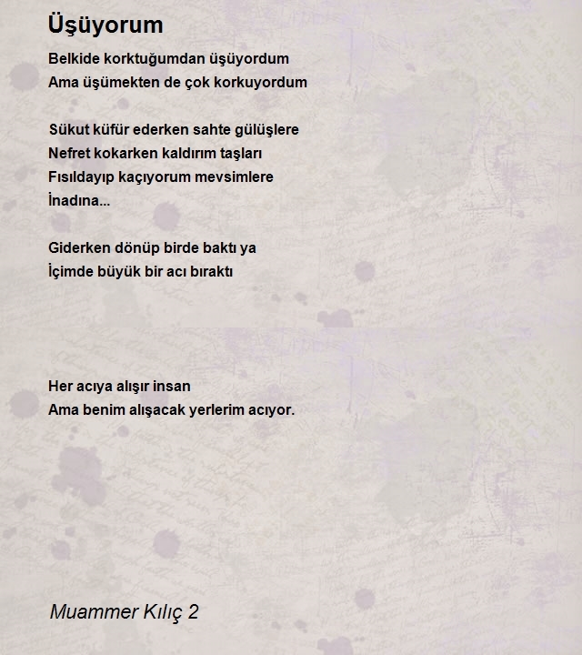 Muammer Kılıç 2