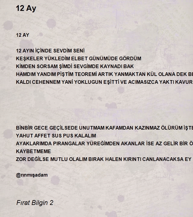 Fırat Bilgin 2