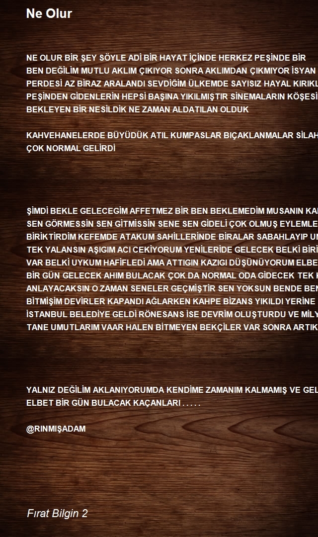 Fırat Bilgin 2