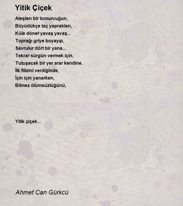 Ahmet Can Gürkcü