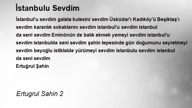 Ertugrul Sahin 2