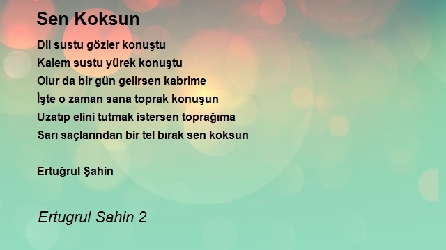 Ertugrul Sahin 2