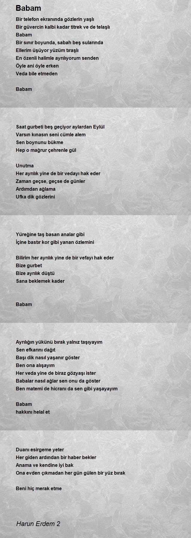 Harun Erdem 2