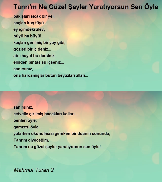 Mahmut Turan 2