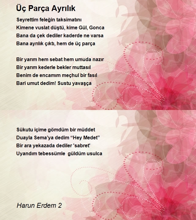 Harun Erdem 2