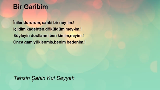 Tahsin Şahin Kul Seyyah