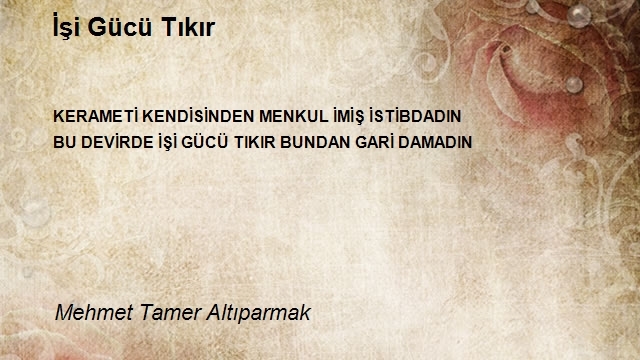 Mehmet Tamer Altıparmak