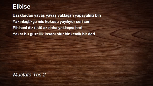 Mustafa Tas 2