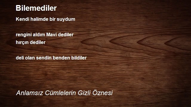 Anlamsız Cümlelerin Gizli Öznesi