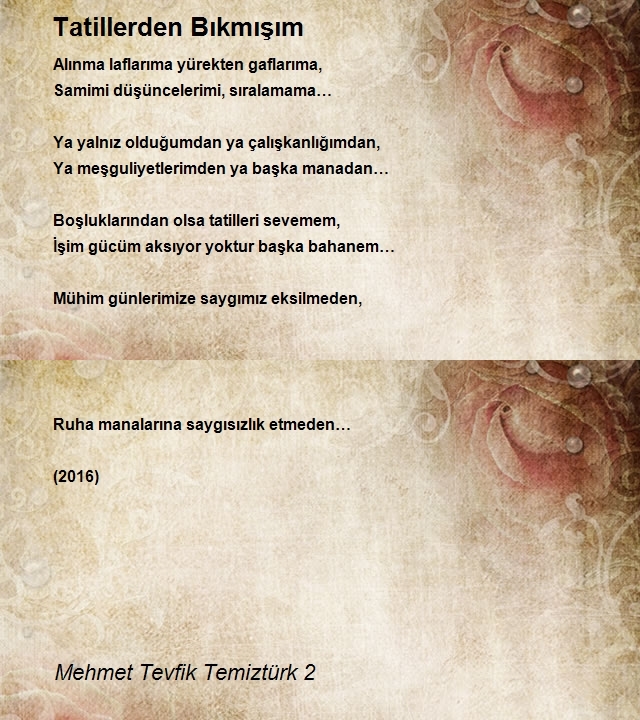 Mehmet Tevfik Temiztürk 2