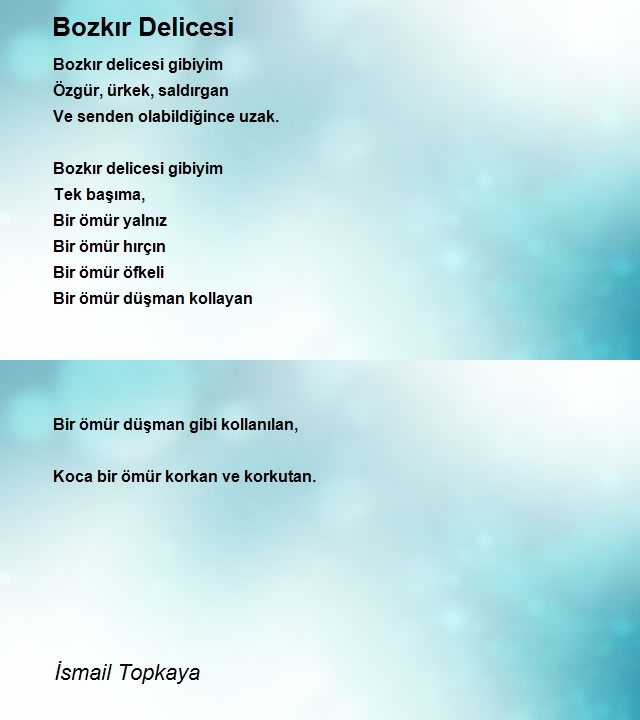 İsmail Topkaya