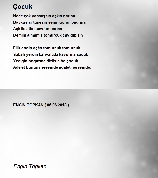 Engin Topkan