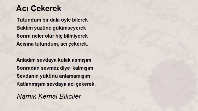 Namık Kemal Biliciler