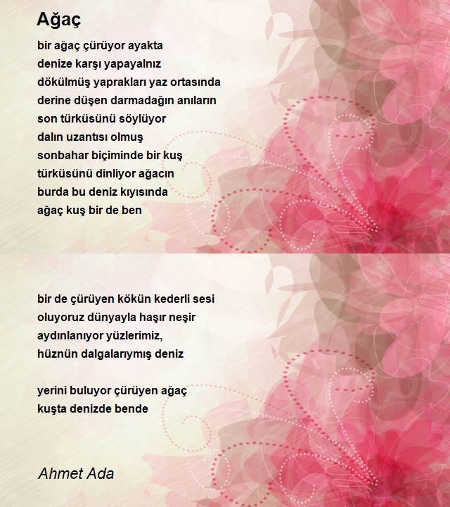 Ahmet Ada