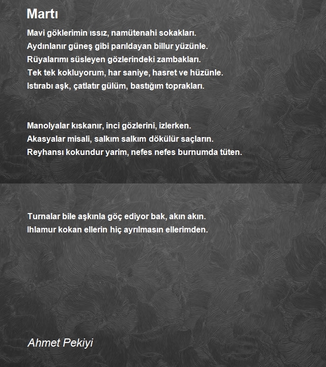 Ahmet Pekiyi