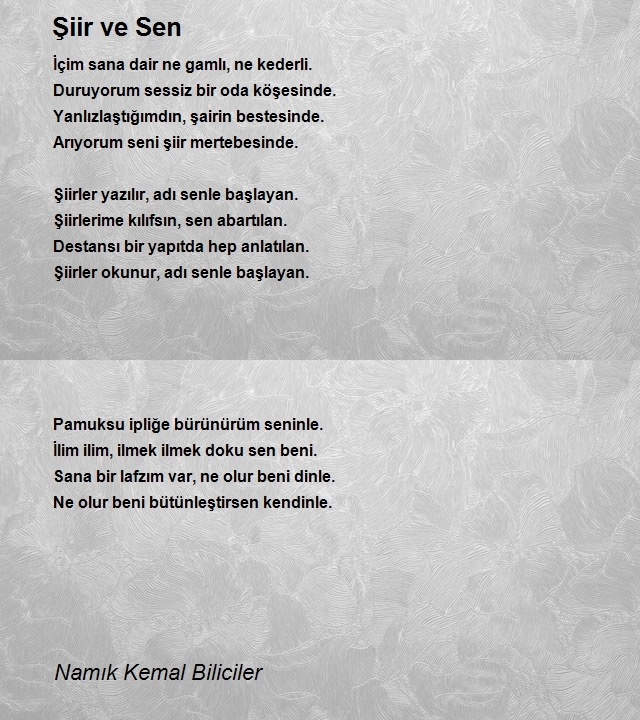 Namık Kemal Biliciler