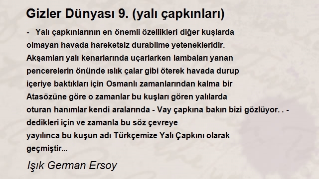 Işık German Ersoy 