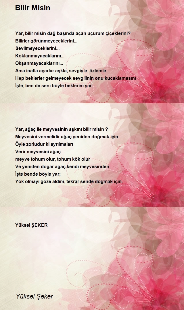 Yüksel Şeker