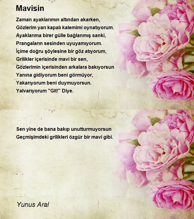 Yunus Aral