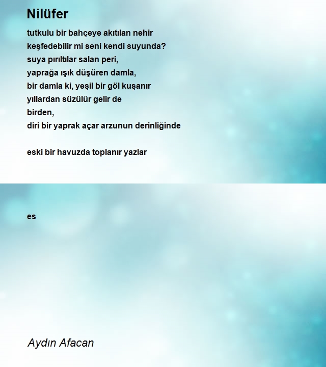 Aydın Afacan