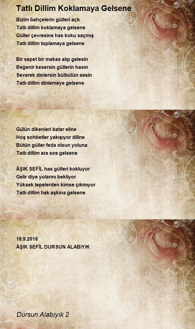 Dursun Alabıyık 2