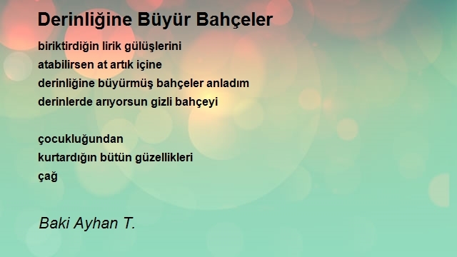 Baki Ayhan T.