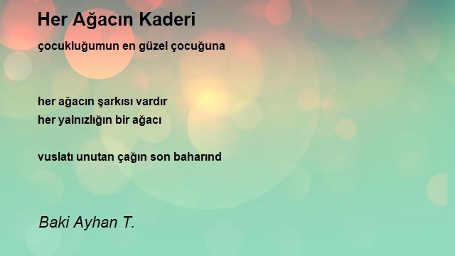 Baki Ayhan T.