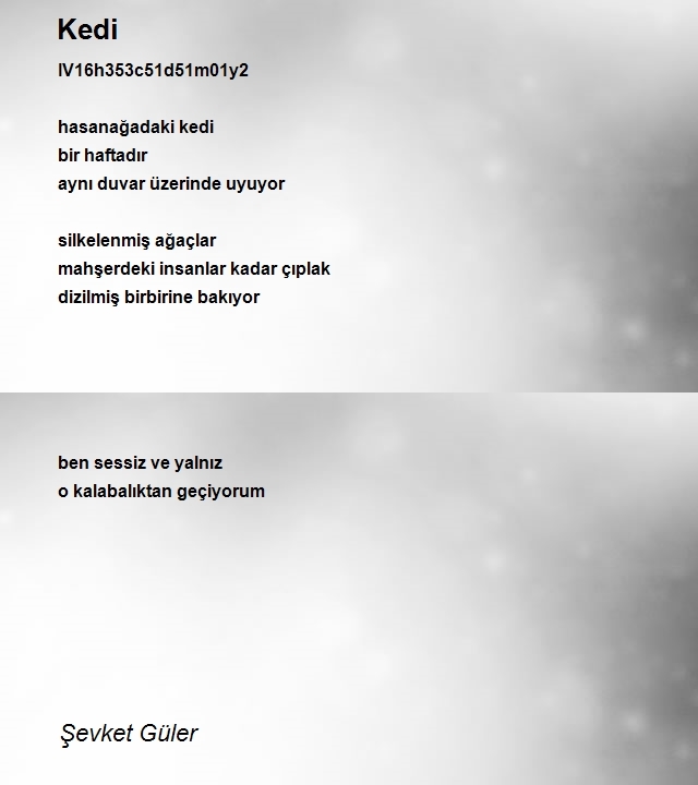 Şevket Güler