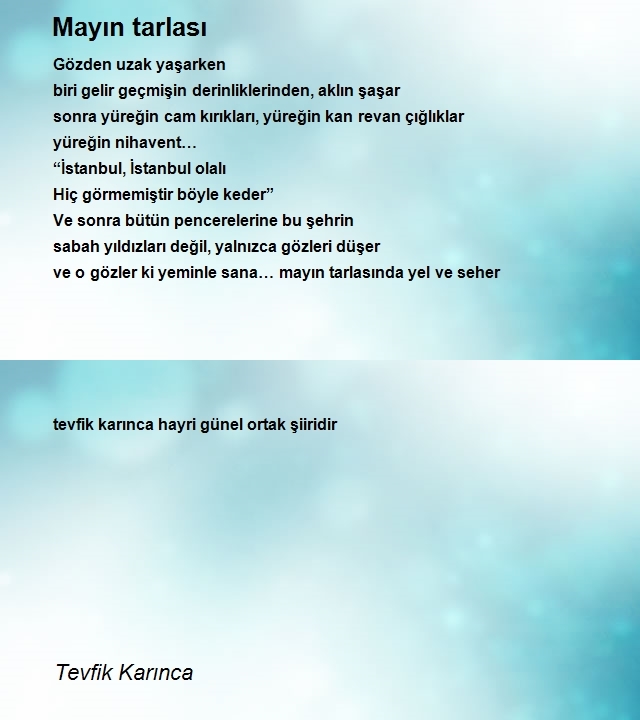 Tevfik Karınca