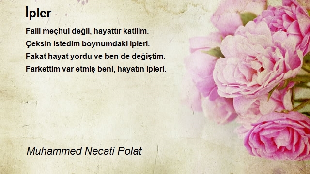 Muhammed Necati Polat