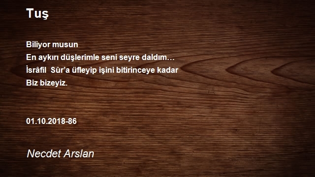 Necdet Arslan