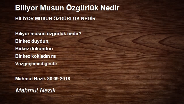 Mahmut Nazik