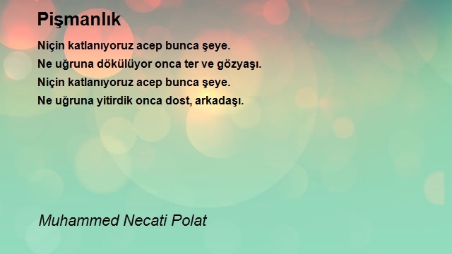 Muhammed Necati Polat