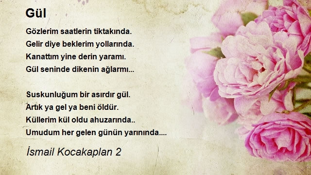 İsmail Kocakaplan 2