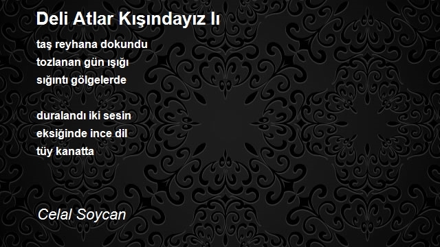 Celal Soycan