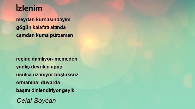 Celal Soycan