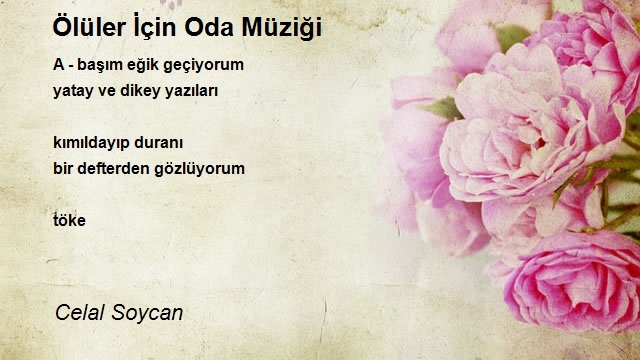 Celal Soycan