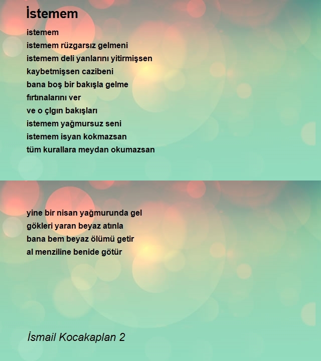 İsmail Kocakaplan 2