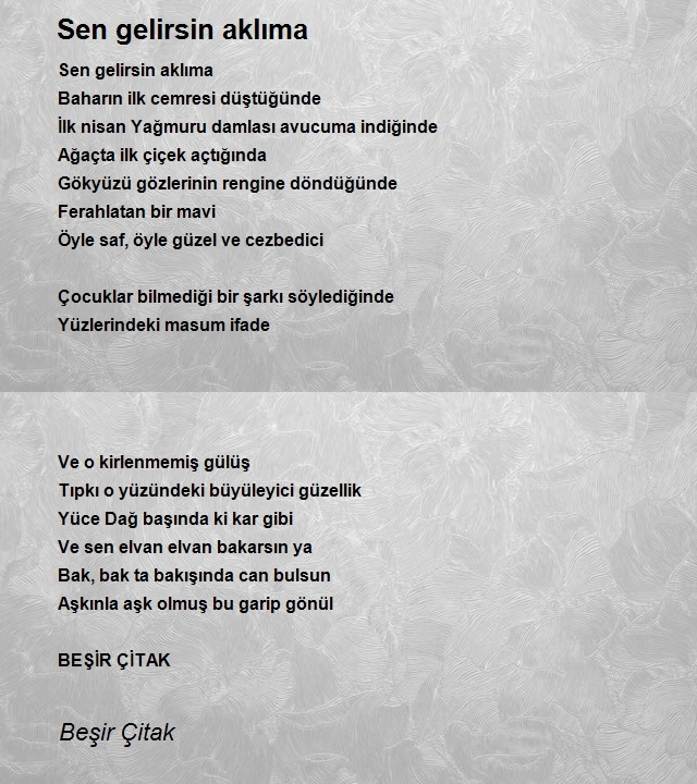 Beşir Çitak