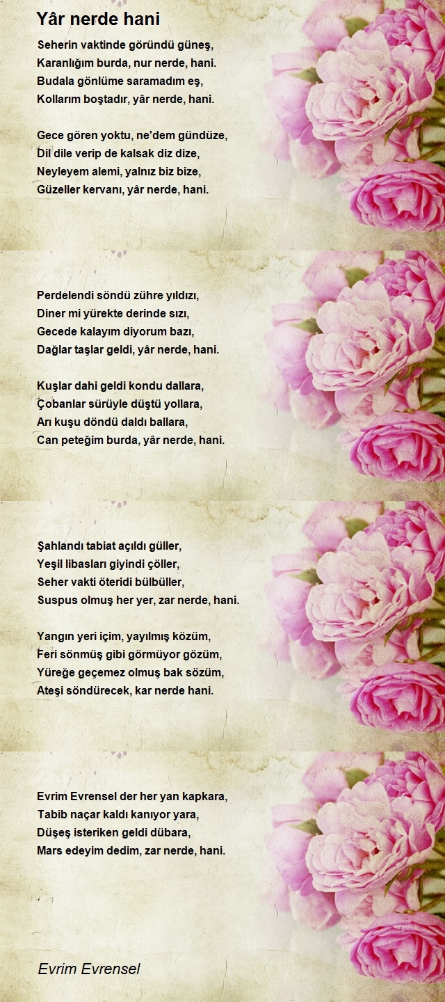 Evrim Evrensel